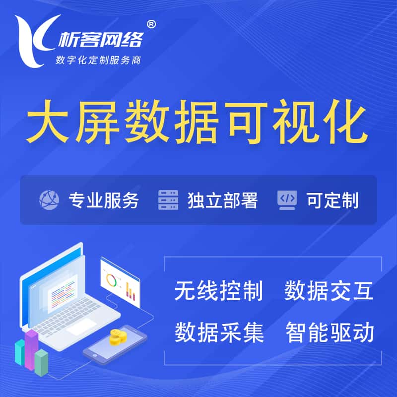 湛江大屏互动数据可视化 | 数据大屏系统