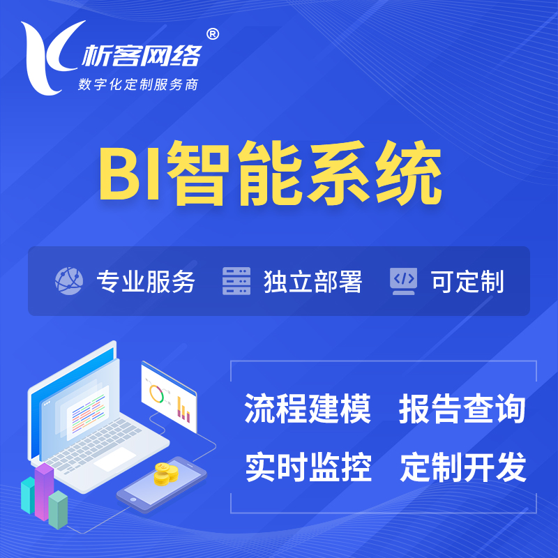 湛江BI智能系统 | BI数据可视化