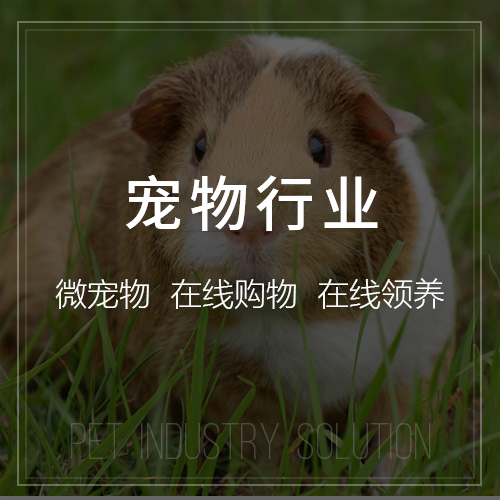 湛江集运系统制作中的智能化升级路径